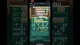 Apostei 100 reais na mega ball