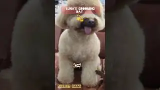 You are my sunshine 🥰 #viral #viralshorts #luna