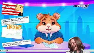 Hamster Kombat News 23/07/2024 | Kamala Harris meme coin surge, BitForex returns, $8M trader loss