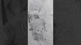 #drawing straw hat crew