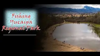 Fishing YUCAIPA REGIONAL PARK  | Day of the Derby | Top Lake | DOES this Count?