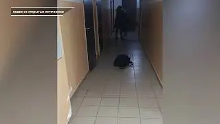 УГРОЗЫ РАСПРАВОЙ