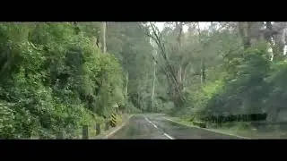 Drive to Gudalur..Manike Mage Heidi Song.... lovely