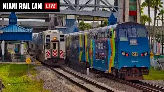 🔴 LIVE Miami Rail Cam | Metrorail Transfer Station | Trains 24/7