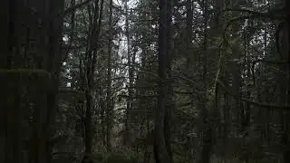 sk8star type beat x destroy lonely type beat &ldquo;money&rdquo;