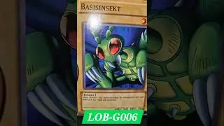 Basisinsekt / Common / LOB-G006 /Basic Insect / ベーシック・インセクト