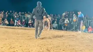 Shubam Bilaspur vs Parminder Baba fly