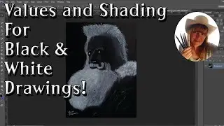 How To See Values - Using Light and Dark Shades In Your Black And White Drawings/Paintings!