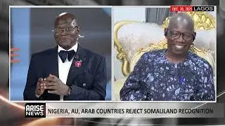 Nigeria, AU, Arab Countries Reject Somaliland Recognition - Adele Jinadu 
