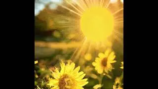 BenJ - Perfect Days *Summer House Music*