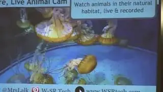 Take Your Class on a Virtual Field Trip