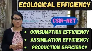 Ecological Efficiency || Consumption Efficiency || Assimilation Efficiency || Production Efficiency