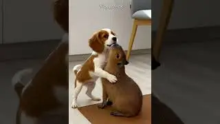 Cutest Animal Hug Ever Caught on Camera! 🦫🐶 #capybara #dog