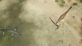 Path of Titans - Tylosaurus clamp a Tyrannosaurus (001)