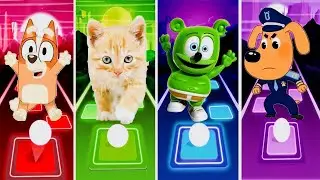 Bluey bingo VS cut cat VS gummy bear VS sheriff labrador paw patrol coffin dance tiles hop Edm rush