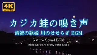 清流の歌姫 カジカガエルと川のせせらぎ 野鳥の鳴き声【睡眠・作業用BGM】Relaxing Nature Sound BGM