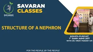 HUMAN EXCRETION | STRUCTURE OF NEPHRON | BY DR. VINAY PANDEY SIR