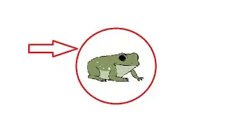World's Lowest Quality White's Tree Frog Weighing Video Ever