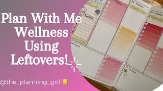 Plan With Me | Wellness Planner | Using Leftovers