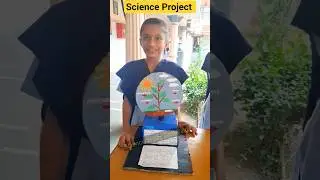 Photosynthesis 🌿 & Respiration Explained | Student Science Project 🔬 | ScienceStudyZaidVaid