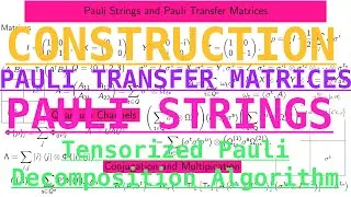 Pauli Strings and Pauli Transfer Matrices