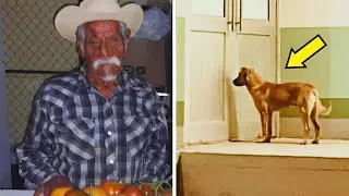 Man Missing in Desert for Days - Then His Dog Shows Up and the Unthinkable Happens