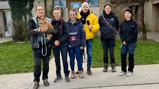 SPA Genève Chiens 28/11/25