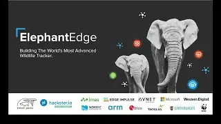 ElephantEdge: Building the World's Most Advanced Wildlife Tracker