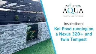 Self Built Koi Pond - Evolution Aqua Nexus and Twin Tempest!