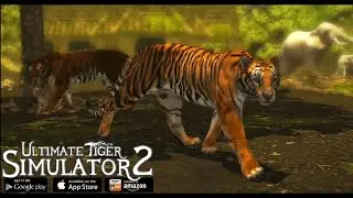 Ultimate Tiger Simulator 2 (Gameplay 1)