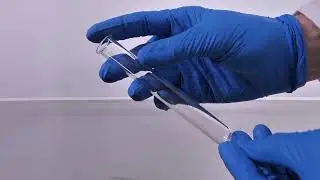 Essential Lab Tool: Borosilicate Test Tubes with Rim - 16mm x 125mm Review (7830/16x125)