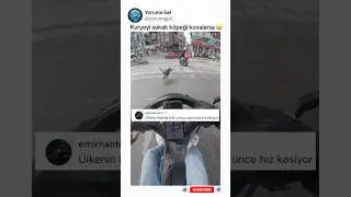 Kuryeyi sokak k&ouml;peği kovalarsa - Komik Yorumlar 401 - Yoruma Gel #komikyorumlar