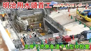 【明治用水頭首工】左岸下流側魚道下も型枠設置【2025年4月2日レポート】