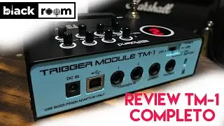 ROLAND TM-1 En Español (Revisión Completa)