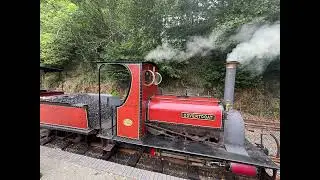 Riding the Rails! Launceston Steam Railway Family Adventure