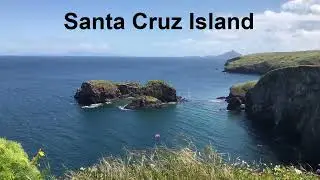 Channel Islands Bald Eagle and Peregrine Falcon Update, 12 April 2023