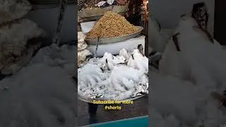 beautiful Street and delicious sweet 🍩 of bhitshah very tasty food