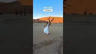 You need to Save this Ultimate Namibia Itinerary! 🇳🇦 #namibia #africa #travelafrica #explorenamibia