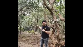 STRATEGY BY SIR VARUN PATHAK
