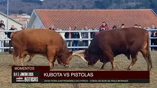XXVII Feira Gastronómica do Porco - Chegas de Bois 