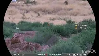 DNT Zulus V2 5-20 R. &  LESHIY 2  