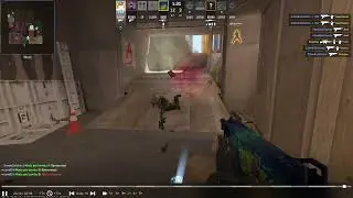 MAG-7 vertigo quadra k