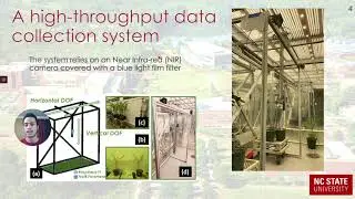 Water Stress Detection in Plants