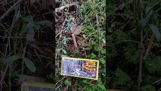Tropic Corsair P1 mushroom explosion #shorts #corsair #fireworks #b&ouml;ller #pyrokratia