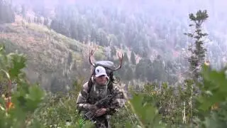 Big Bulls - Muleys - HUNTING