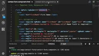 Angular 046 -  ngForm