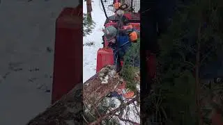 Einsatz kleiner Traktor