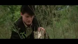 Blue Velvet (Sound Design)