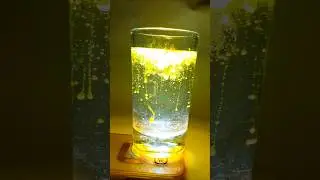 😱 I Tried The Viral Water Magic Trick | water lighting tricks | turmeric water tricks | #shots #diy