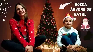 Quanto Custa uma Árvore de Natal em Portugal?